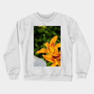 Looking to the Light Crewneck Sweatshirt